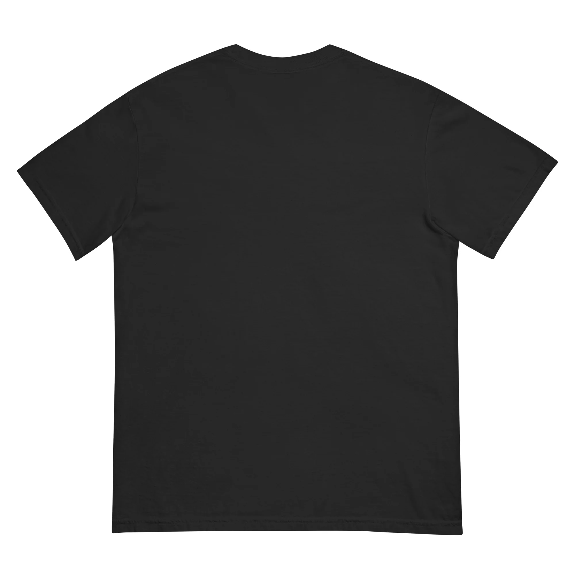 High Potential Comfort Colors T-Shirt - Image 5